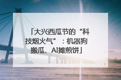 大兴西瓜节的“科技烟火气”：机器狗搬瓜、AI摊煎饼