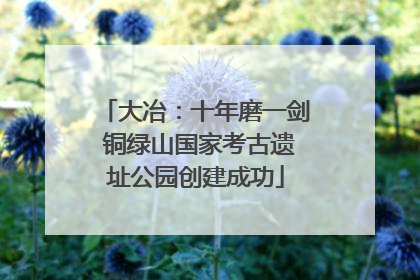 大冶：十年磨一剑 铜绿山国家考古遗址公园创建成功