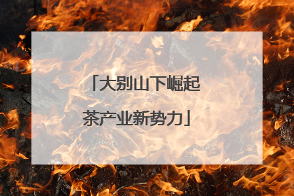大别山下崛起茶产业新势力