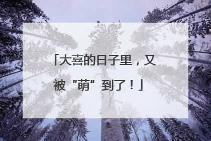 大喜的日子里，又被“萌”到了！