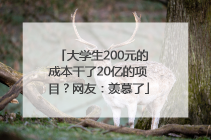 大学生200元的成本干了20亿的项目？网友：羡慕了