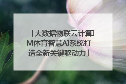 大数据物联云计算IM体育智慧AI系统打造全新关键驱动力