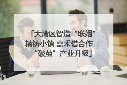 大湾区智造“联姻”精铸小镇 嘉禾借合作“破茧”产业升级
