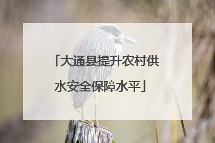 大通县提升农村供水安全保障水平