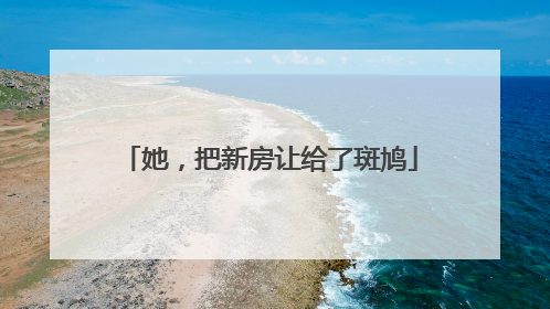 她，把新房让给了斑鸠