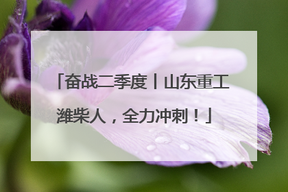 奋战二季度丨山东重工潍柴人，全力冲刺！
