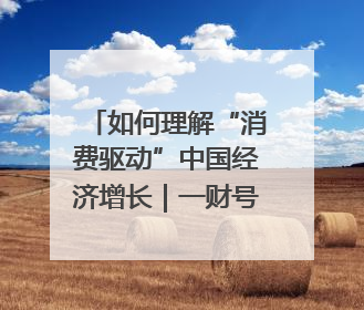如何理解“消费驱动”中国经济增长｜一财号每周思想荟（第22期）