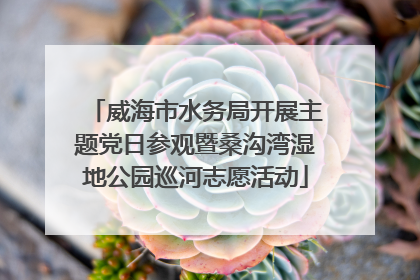 威海市水务局开展主题党日参观暨桑沟湾湿地公园巡河志愿活动