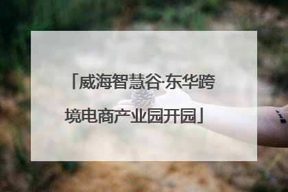 威海智慧谷·东华跨境电商产业园开园