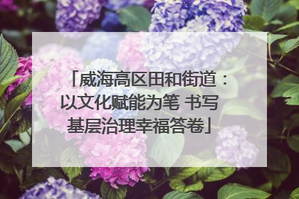 威海高区田和街道：以文化赋能为笔 书写基层治理幸福答卷