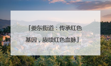 娄东街道：传承红色基因，赓续红色血脉