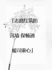 志愿红筑防汛墙 保畅通暖司乘心