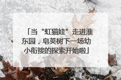 当“虹猫娃”走进淮东园，皂荚树下一场幼小衔接的探索开始啦