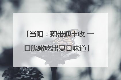 当阳：藕带迎丰收 一口脆嫩吃出夏日味道