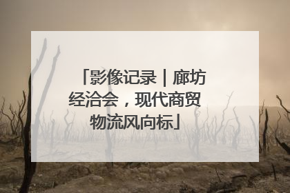 影像记录｜廊坊经洽会，现代商贸物流风向标