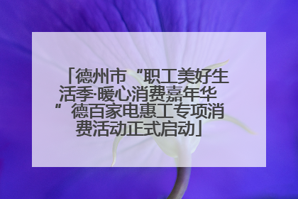 德州市“职工美好生活季·暖心消费嘉年华”德百家电惠工专项消费活动正式启动