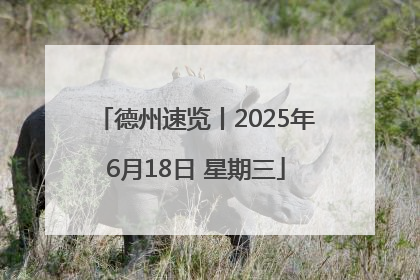 德州速览丨2025年6月18日 星期三