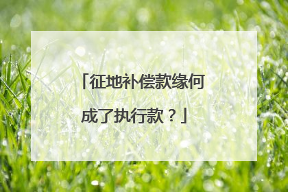 征地补偿款缘何成了执行款？