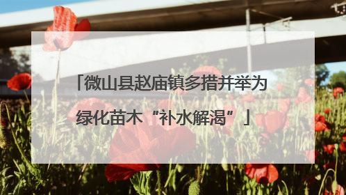 微山县赵庙镇多措并举为绿化苗木“补水解渴”