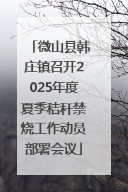 微山县韩庄镇召开2025年度夏季秸秆禁烧工作动员部署会议