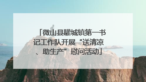 微山县驩城镇第一书记工作队开展“送清凉、助生产”慰问活动