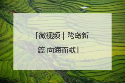 微视频｜鹭岛新篇 向海而歌