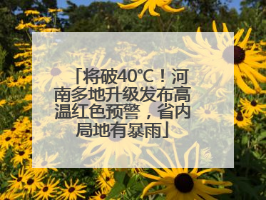 将破40℃！河南多地升级发布高温红色预警，省内局地有暴雨