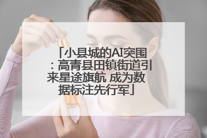 小县城的AI突围：高青县田镇街道引来星途旗航 成为数据标注先行军