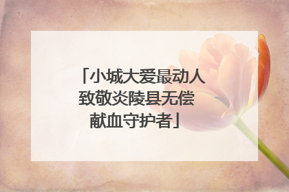 小城大爱最动人 致敬炎陵县无偿献血守护者