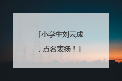 小学生刘云成，点名表扬！