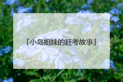 小岛姐妹的赶考故事