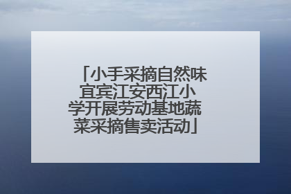小手采摘自然味 宜宾江安西江小学开展劳动基地蔬菜采摘售卖活动