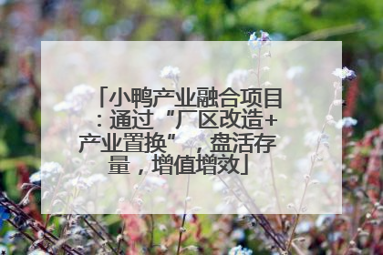 小鸭产业融合项目：通过“厂区改造+产业置换”，盘活存量，增值增效