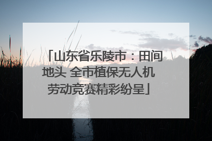 山东省乐陵市：田间地头 全市植保无人机劳动竞赛精彩纷呈