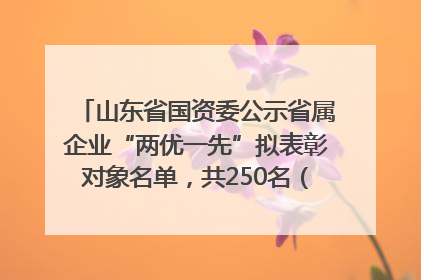 山东省国资委公示省属企业“两优一先”拟表彰对象名单，共250名（个）党员和党组织