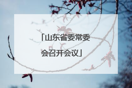 山东省委常委会召开会议
