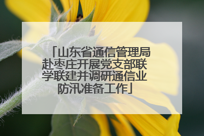 山东省通信管理局赴枣庄开展党支部联学联建并调研通信业防汛准备工作