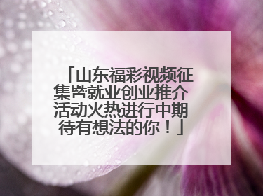 山东福彩视频征集暨就业创业推介活动火热进行中期待有想法的你！