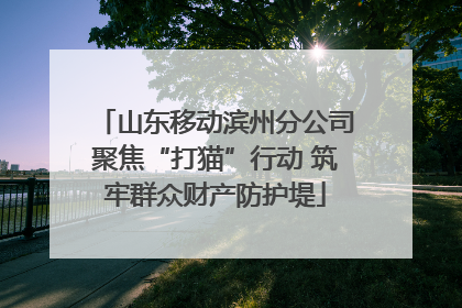 山东移动滨州分公司聚焦“打猫”行动 筑牢群众财产防护堤