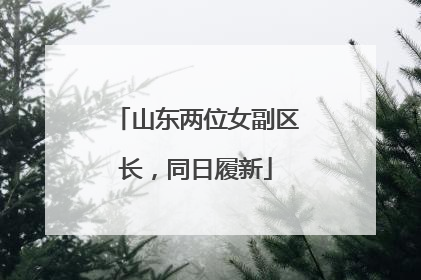 山东两位女副区长，同日履新