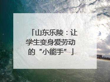 山东乐陵：让学生变身爱劳动的“小能手”