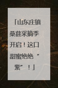 山东庄镇桑葚采摘季开启！这口甜蜜绝绝“紫”！