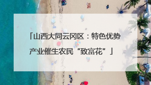 山西大同云冈区：特色优势产业催生农民“致富花”