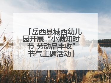 岳西县城西幼儿园开展“小满知时节 劳动品丰收”节气主题活动