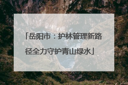 岳阳市：护林管理新路径全力守护青山绿水