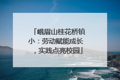 峨眉山桂花桥镇小：劳动赋能成长，实践点亮校园