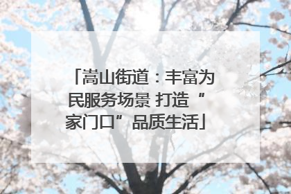 嵩山街道：丰富为民服务场景 打造“家门口”品质生活