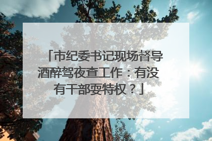 市纪委书记现场督导酒醉驾夜查工作：有没有干部耍特权？