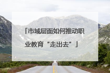 市域层面如何推动职业教育“走出去”