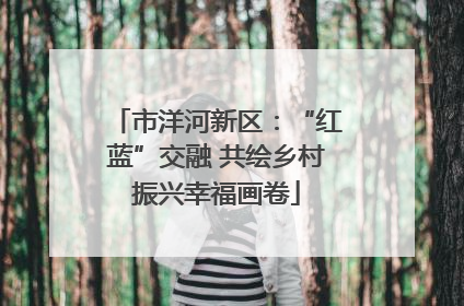 市洋河新区：“红蓝”交融 共绘乡村振兴幸福画卷